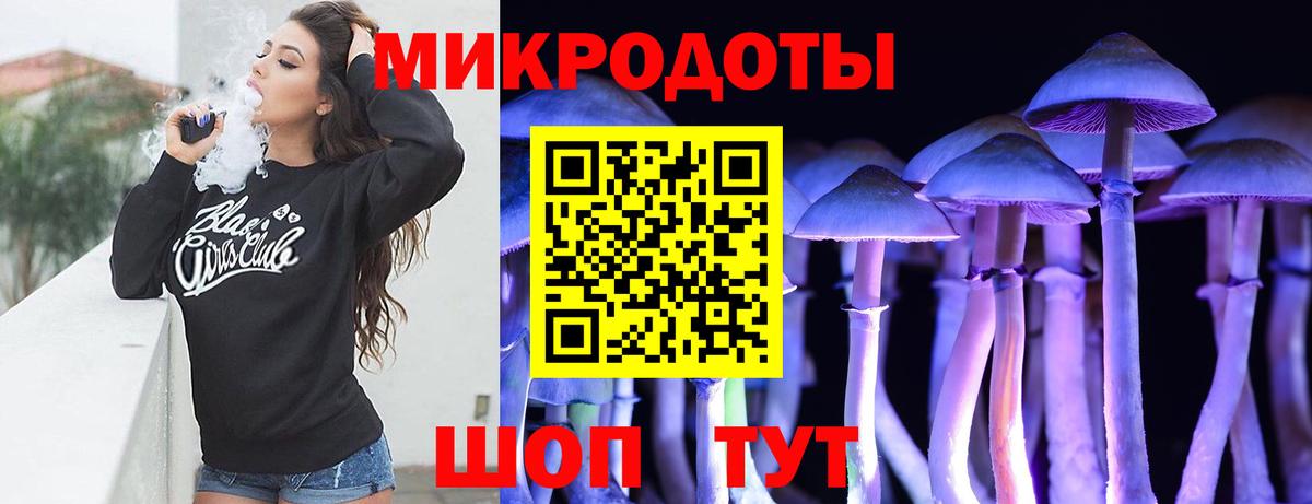 Псилоцибиновые грибы Psilocybe Алатырь